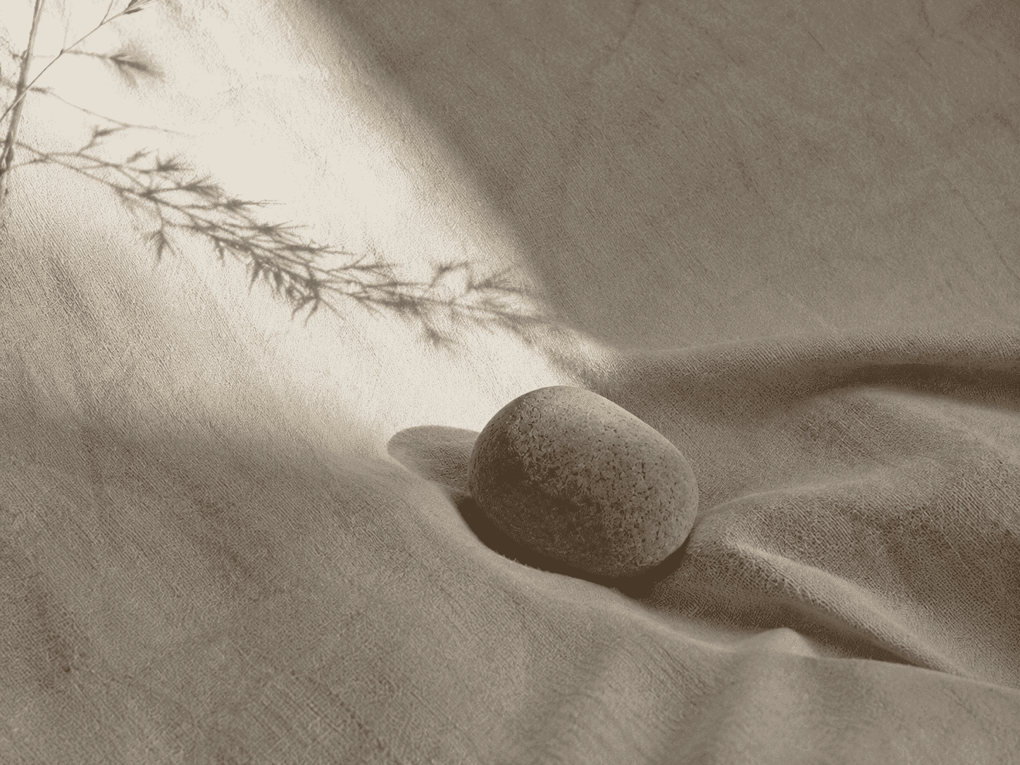 A quiet interior detail from the clinic